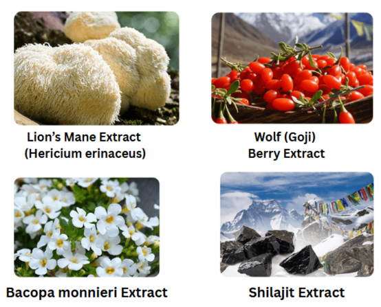 Neura supplement Ingredients