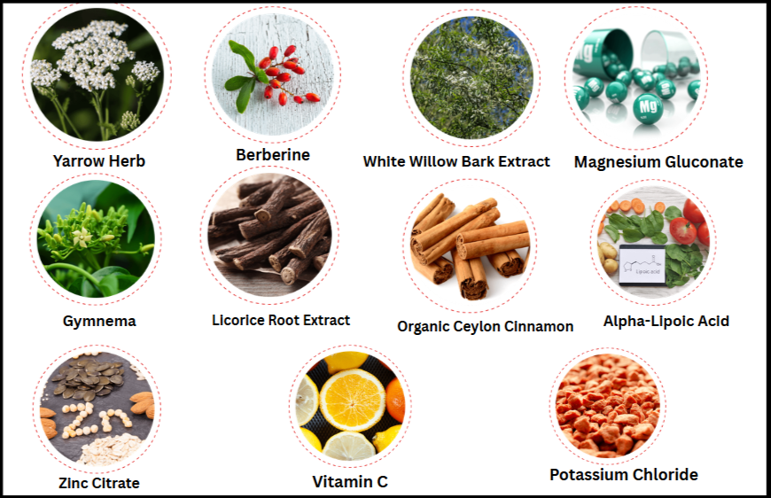 CardioX Blood Pressure Ingredients