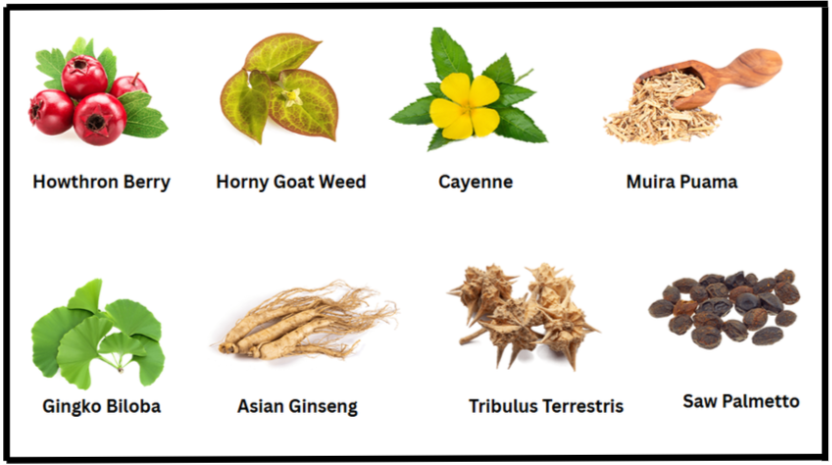 Goliath XL 10 ingredients 