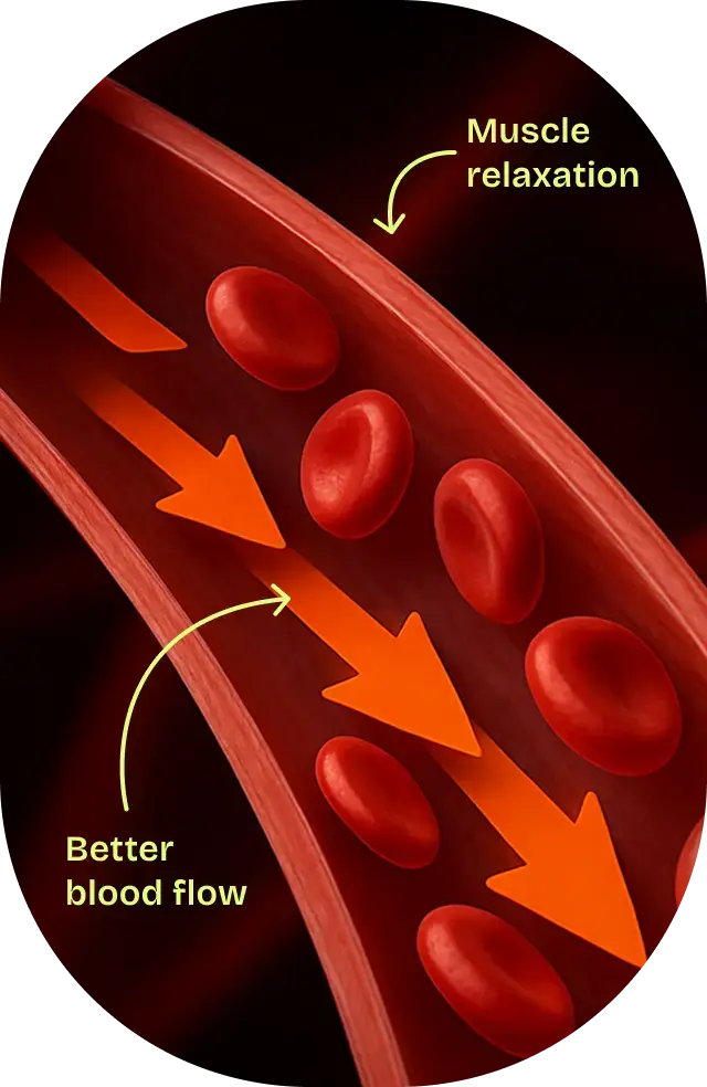 How Do ED Medications Work
